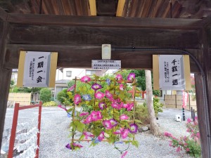 8月状旬4字